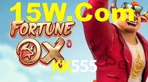 Premium Interface KK555